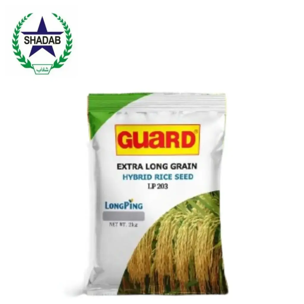 Guard Rice seed LP 203 High-yielding and production | Shadabagri.com